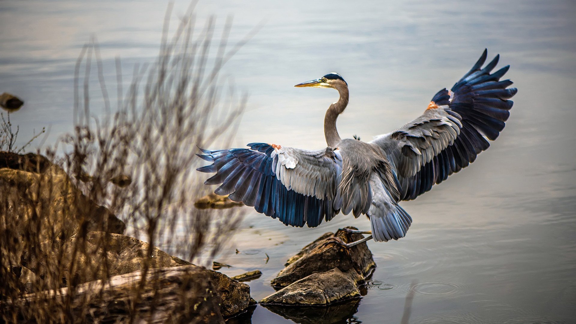 大数据精准分析支持赛事运营精细化管理，大数据比赛怎么做