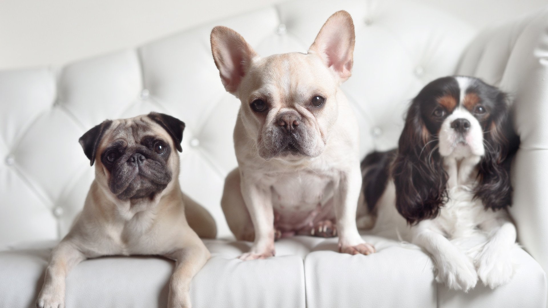 战术灵活度是否是五大联赛下半程稳定表现关键,灵活的战术战法