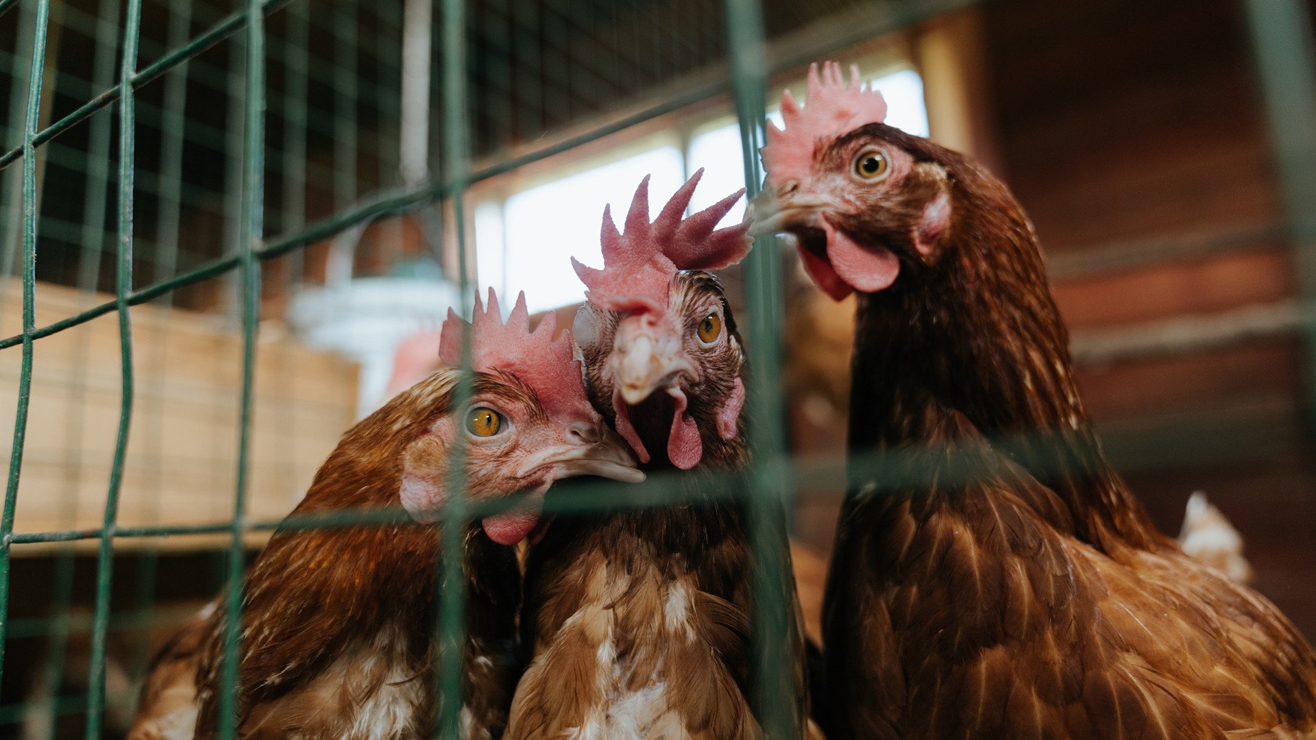 球队是否根据控球成功率调整出球节奏模板,控球节奏如何提高