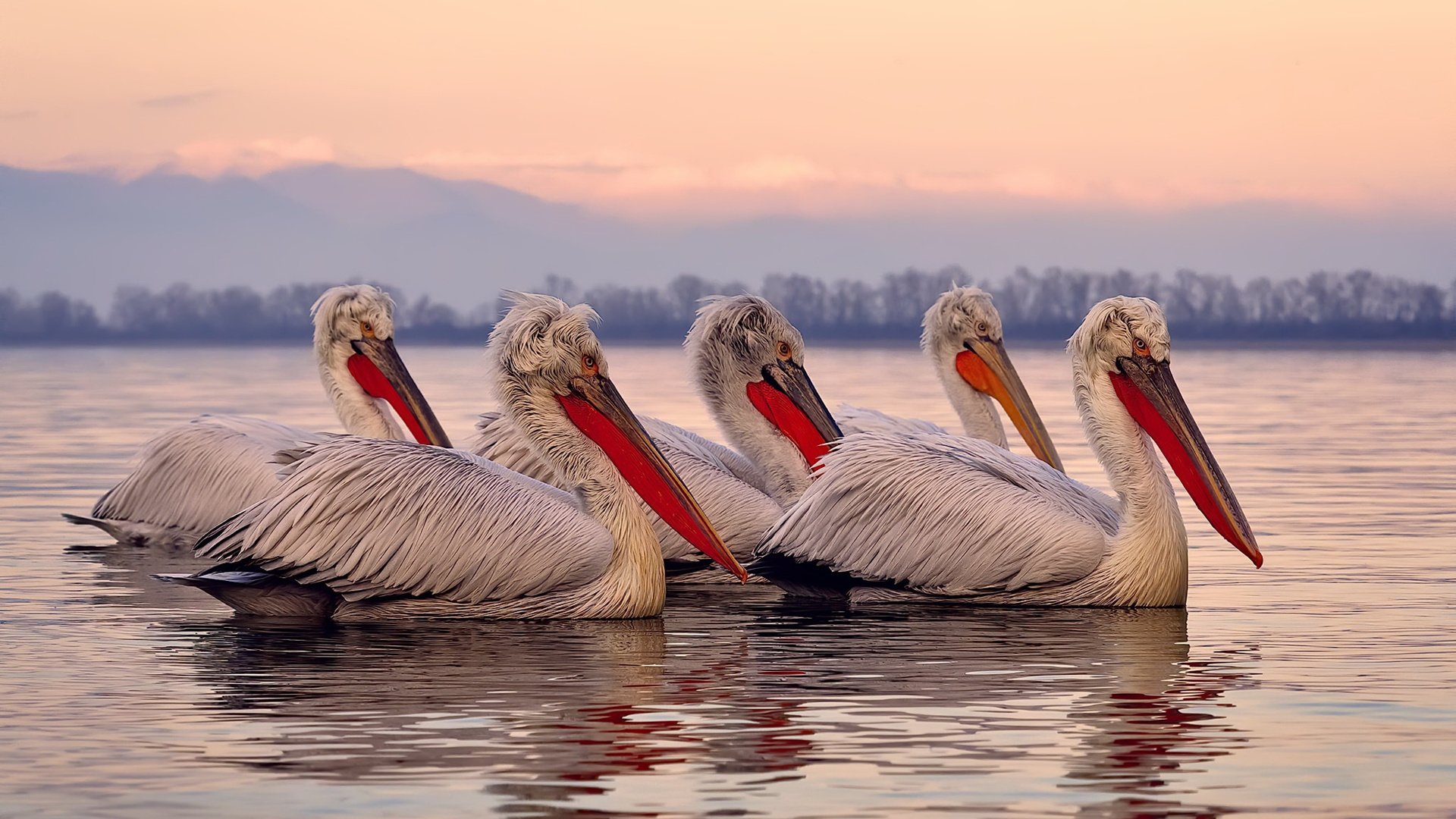 联盟最强得分手如何拆解防线,联盟第一得分手