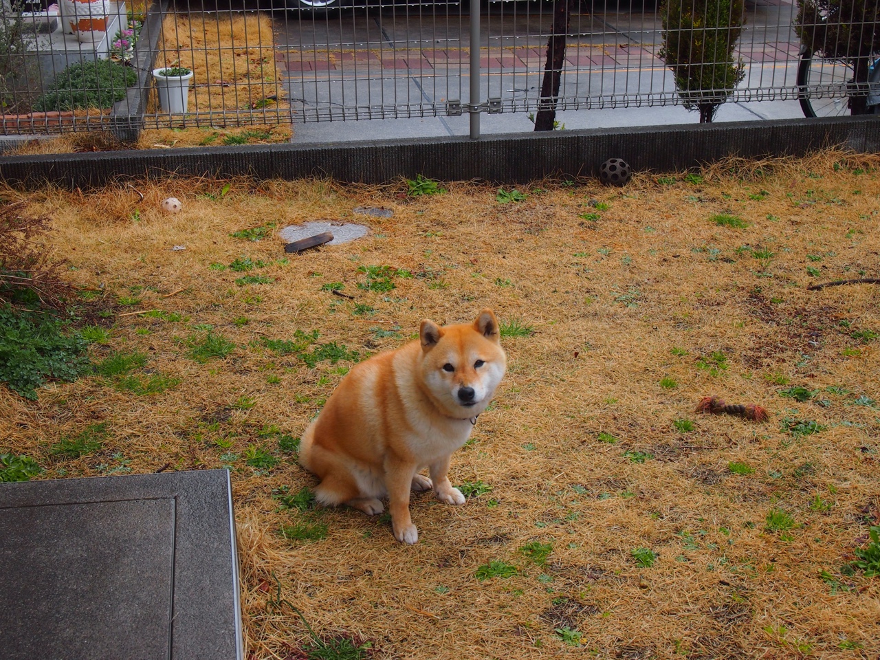 青训球员选拔常态化机制尚未建立,青训球员定义