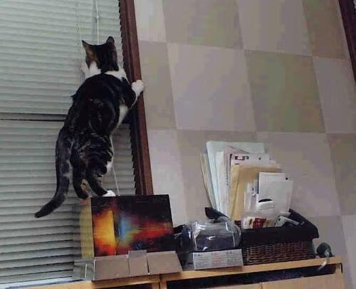 开云中国大陆-尤文图斯引进重要中场，大幅提升实力