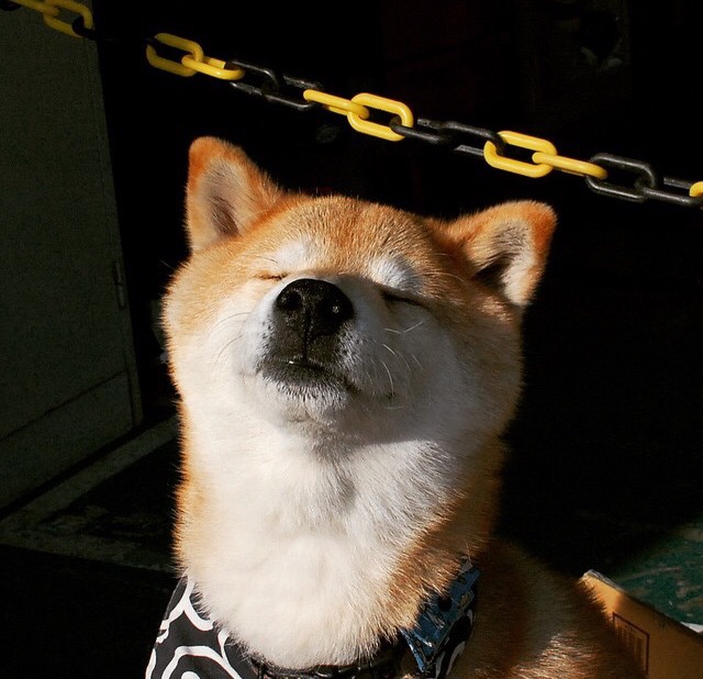 西班牙青年队在欧洲青年大赛中表现出色