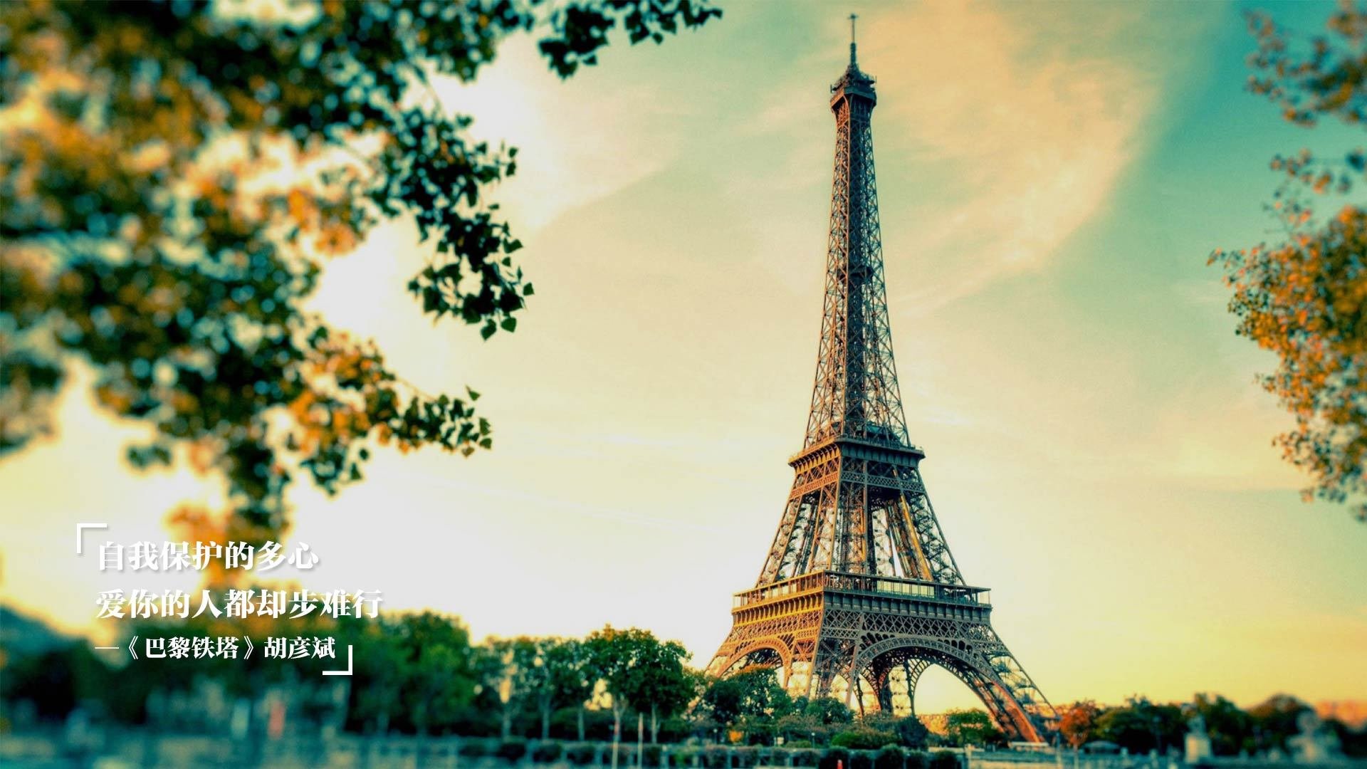 足球联赛积分榜最新动态，足球联赛积分榜app