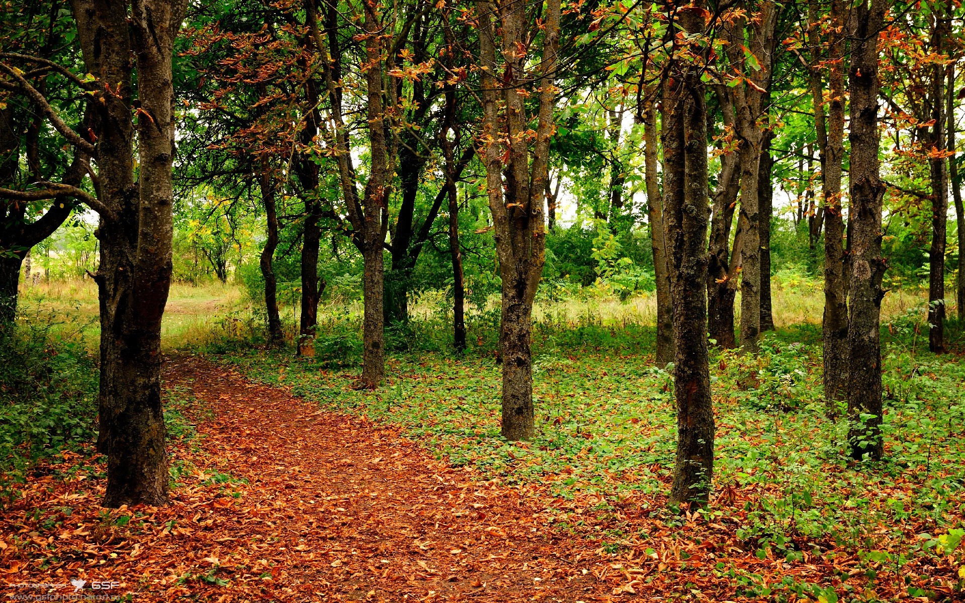 一冷一热，多特或全取三分，一冷二热
