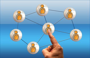 Kaiyun APP-中国足球退役球员再就业支持政策建议，中国足球队退役球员