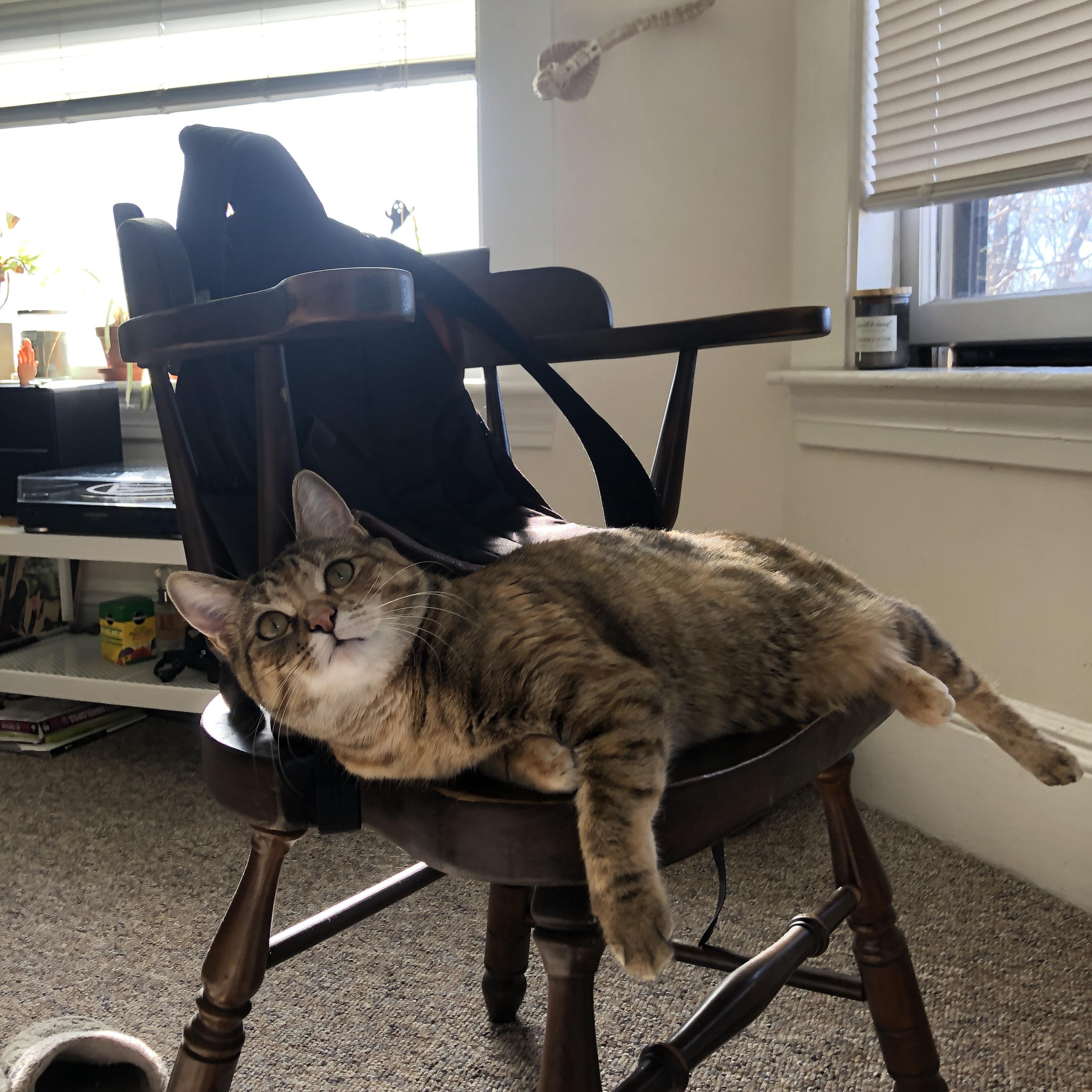 开云·体育官网APP下载-乔帅推动团队融合的实践路径：小事见大智慧，搞团队融合活动