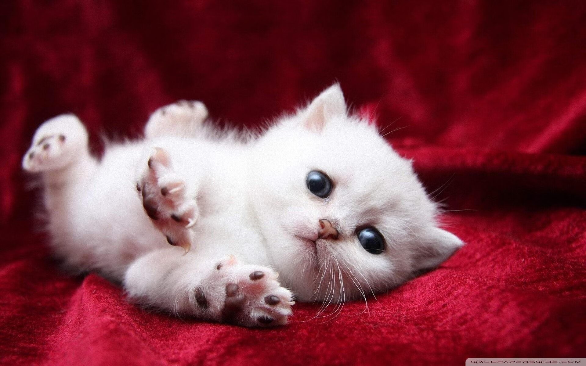 体育新闻中心大数据平台实现多维度信息融合，大数据时代下网络媒体体育新闻可视化研究