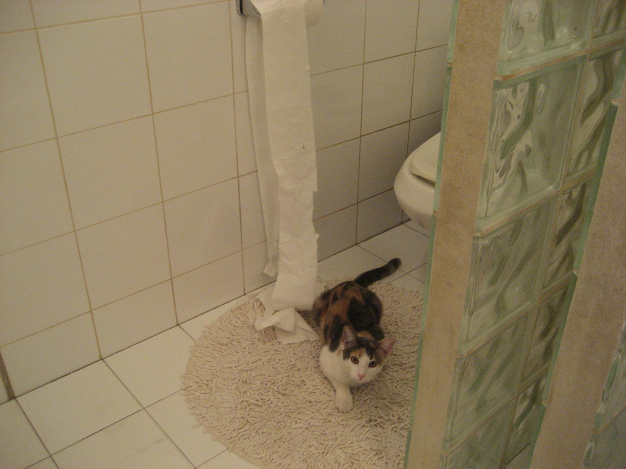 俱乐部引进虚拟现实训练工具 增强比赛模拟体验，虚拟现实技能大赛