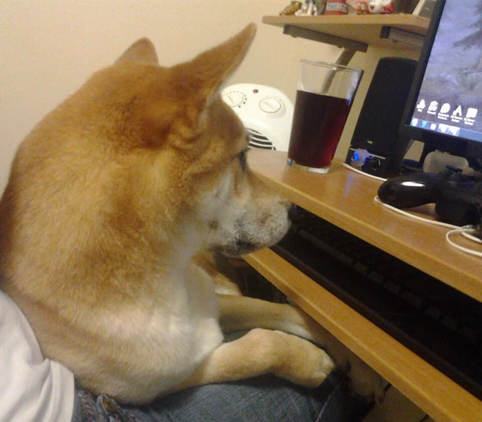 俱乐部青训成果转化 选手成功进入职业联赛，充分利用俱乐部的青训系统培养球员